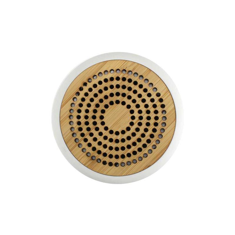 EcoSound Mini Speaker